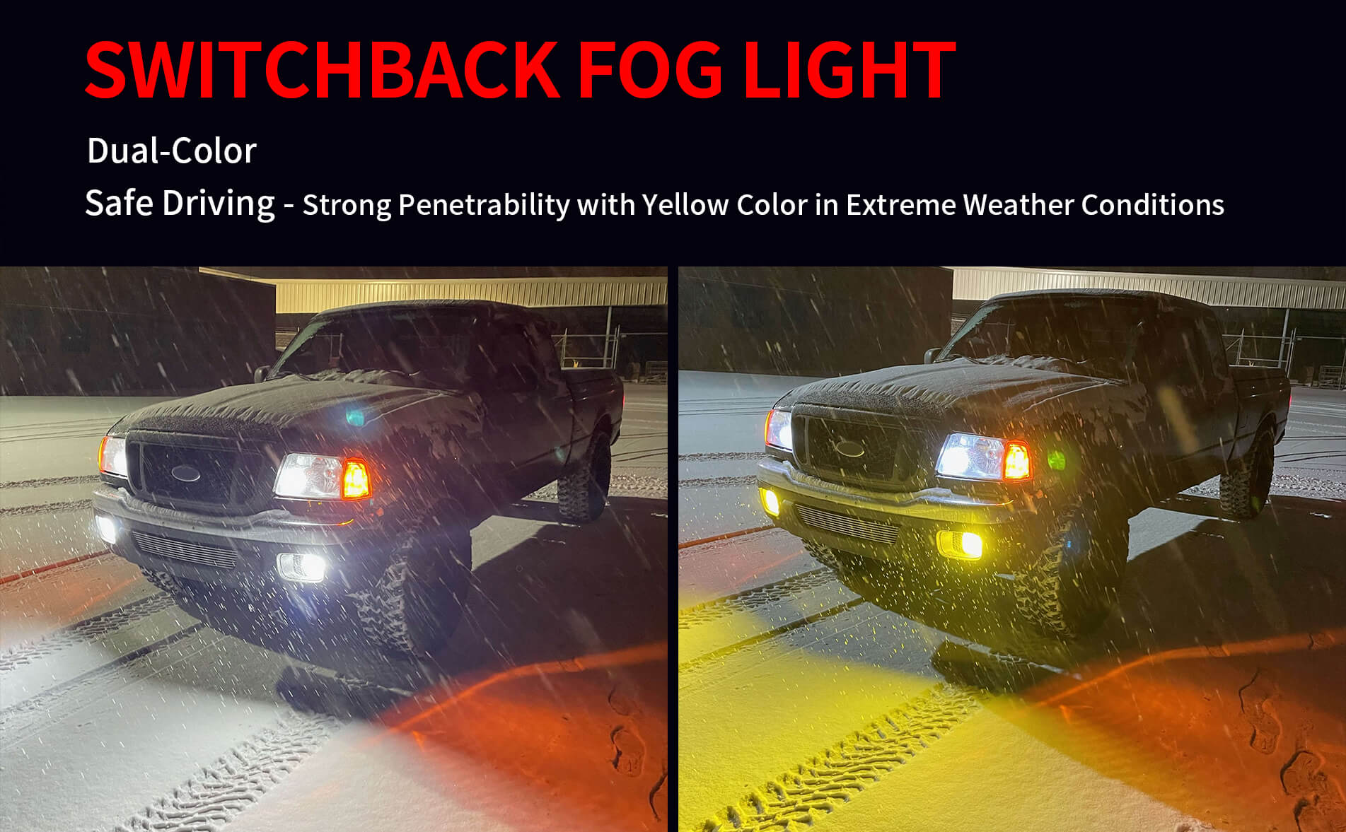 The switchback LDplus H11 fog lights