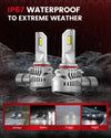 Lasfit LAair 9006 led bulbs IP67 waterproof