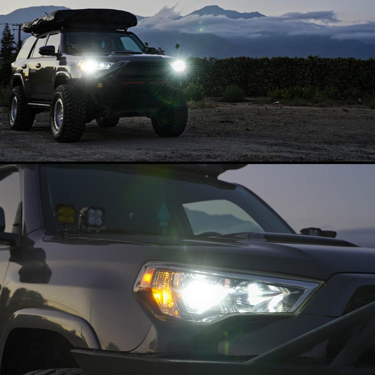 Fit for Toyota 4Runner 2014-2020 Custom H11 LED Bulbs with Dust Cover | Pro-DC Series