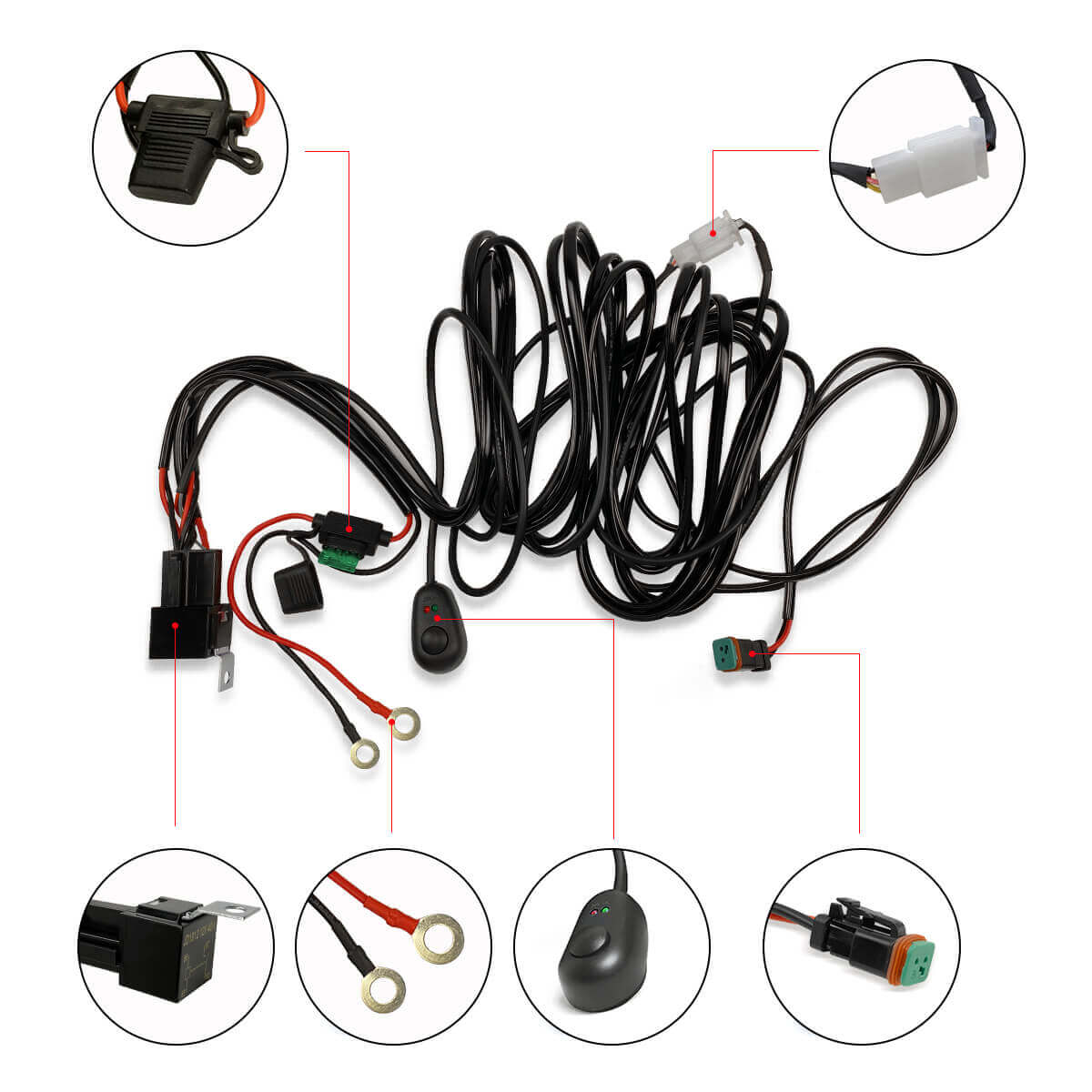 Wiring Harness with DT Connectors - 2 Leads